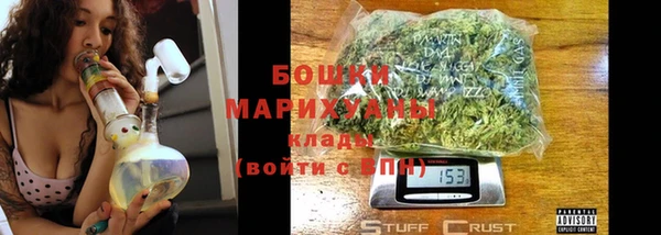 гидра Наволоки
